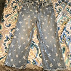 Judy Blue Cropped Straight Star Jeans